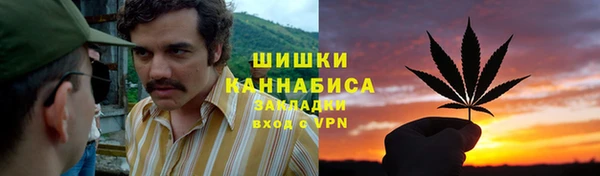 шишки Алзамай