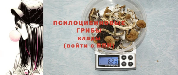 шишки Алзамай